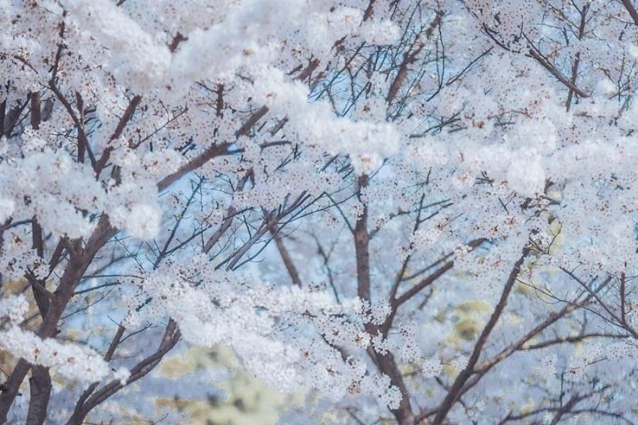 青岛高端私人伴游咨询师洪欣娟小姐姐-美文
