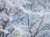 青岛高端私人伴游咨询师洪欣娟