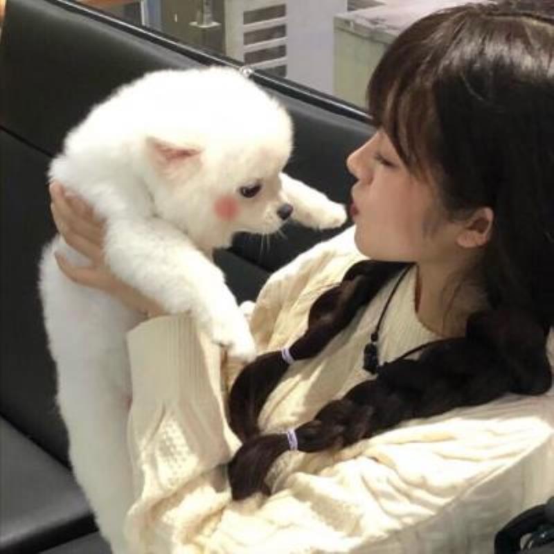 大石桥美女陪玩摄影贝光笛小姐姐-美文